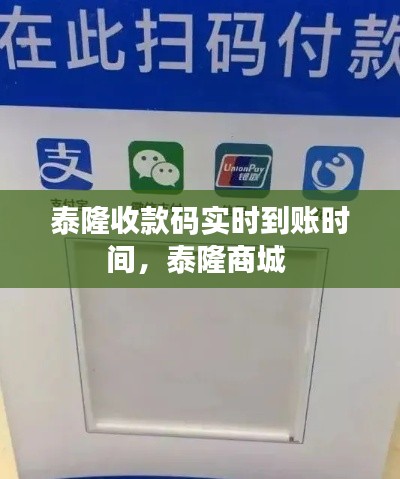 泰隆收款码实时到账时间,泰隆商城