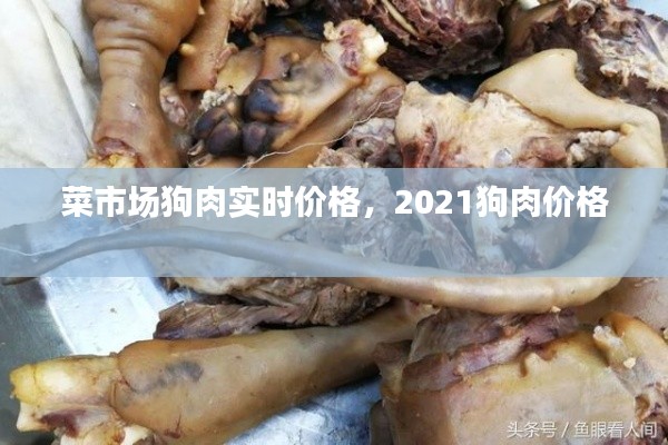 菜市场狗肉实时价格,2021狗肉价格