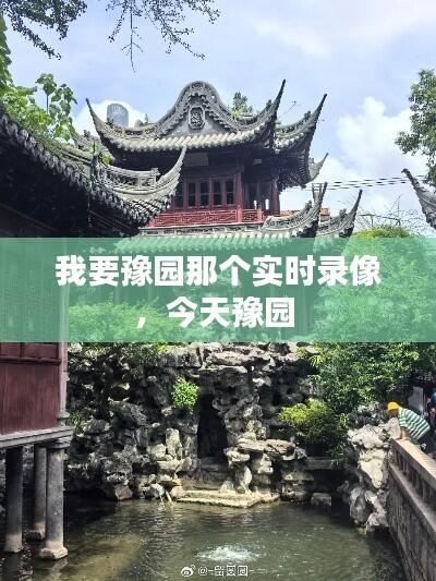 我要豫园那个实时录像,今天豫园