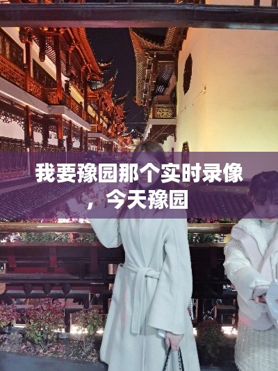 我要豫园那个实时录像,今天豫园