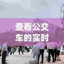 查看公交车的实时行动，查看公交车实时动态的软件下载 