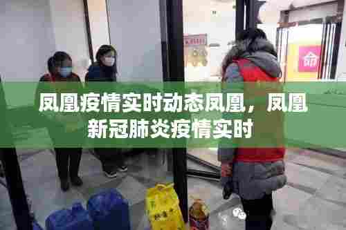 凤凰疫情实时动态凤凰，凤凰新冠肺炎疫情实时 