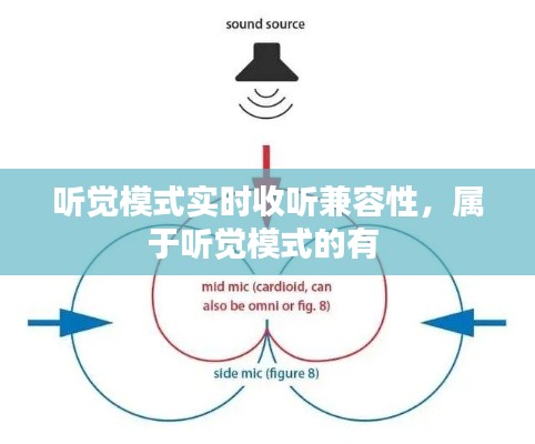 听觉模式实时收听兼容性，属于听觉模式的有 
