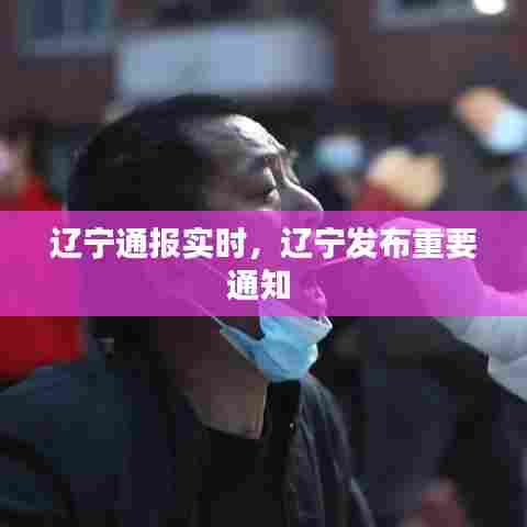 辽宁通报实时,辽宁发布重要通知