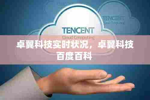 卓翼科技实时状况,卓翼科技百度百科