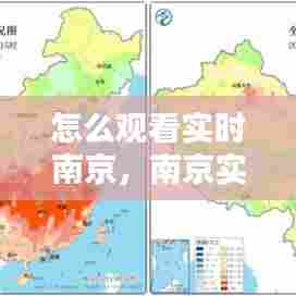 怎么观看实时南京,南京实况