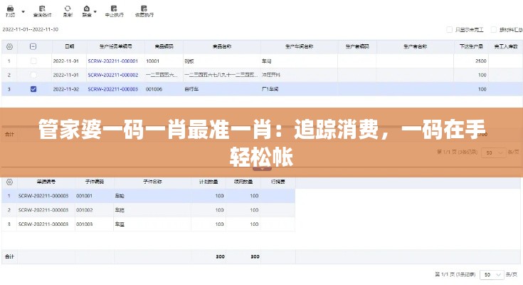 管家婆一码一肖最准一肖:追踪消费,一码在手轻松帐