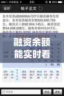 融资余额能实时看吗,融资余额表示什么意思