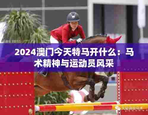 2024澳门今天特马开什么:马术精神与运动员风采