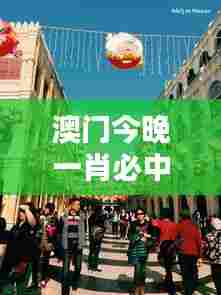 澳门今晚一肖必中特：体验澳门的经典娱乐活动