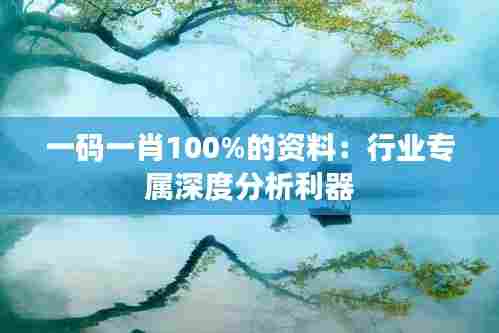 一码一肖100%的资料:行业专属深度分析利器