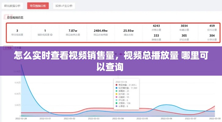 怎么实时查看视频销售量，视频总播放量 哪里可以查询 