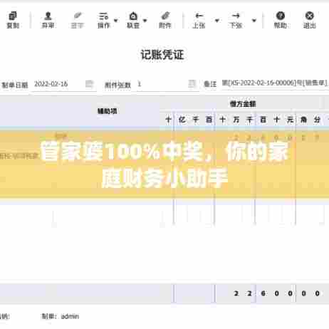 管家婆100%中奖，你的家庭财务小助手