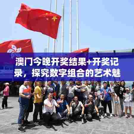 澳门今晚开奖结果+开奖记录,探究数字组合的艺术魅力