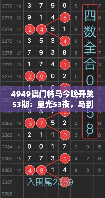 4949澳门特马今晚开奖53期：星光53夜，马到成功时