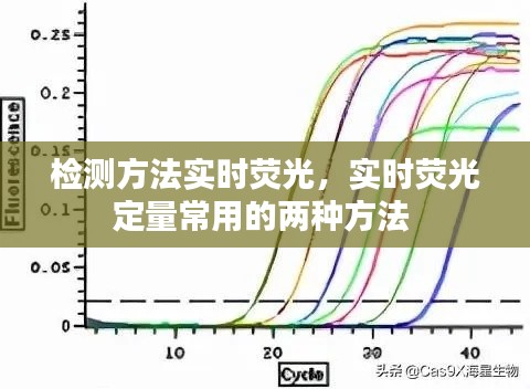检测方法实时荧光，实时荧光定量常用的两种方法 