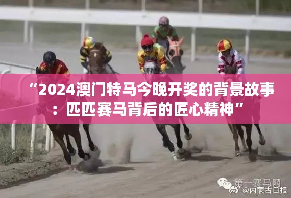 “2024澳门特马今晚开奖的背景故事:匹匹赛马背后的匠心精神”
