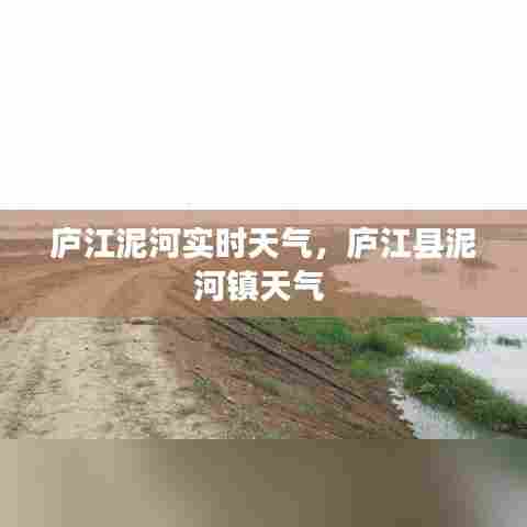 庐江泥河实时天气，庐江县泥河镇天气 