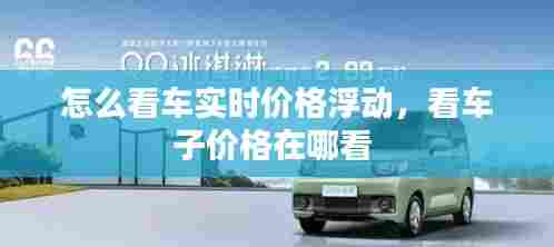 怎么看车实时价格浮动,看车子价格在哪看