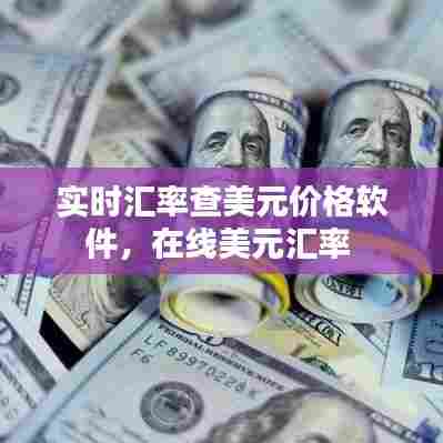 实时汇率查美元价格软件,在线美元汇率
