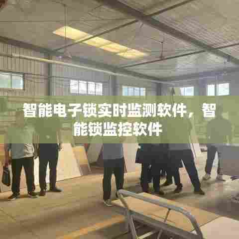 智能电子锁实时监测软件,智能锁监控软件