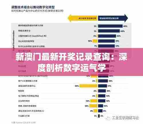 新澳门最新开奖记录查询:深度剖析数字运气学