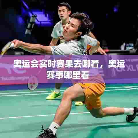 奥运会实时赛果去哪看,奥运赛事哪里看