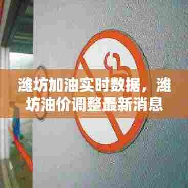 潍坊加油实时数据，潍坊油价调整最新消息 