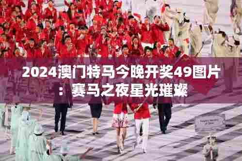 2024澳门特马今晚开奖49图片：赛马之夜星光璀璨