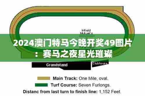2024澳门特马今晚开奖49图片:赛马之夜星光璀璨