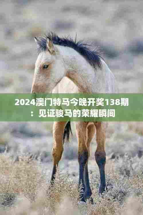 2024澳门特马今晚开奖138期：见证骏马的荣耀瞬间