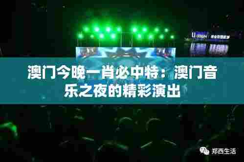 澳门今晚一肖必中特：澳门音乐之夜的精彩演出