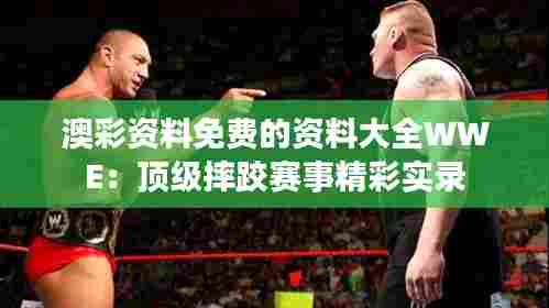 澳彩资料免费的资料大全WWE:顶级摔跤赛事精彩实录