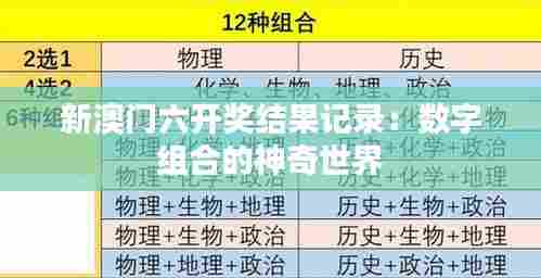 新澳门六开奖结果记录:数字组合的神奇世界