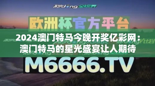 2024澳门特马今晚开奖亿彩网:澳门特马的星光盛宴让人期待