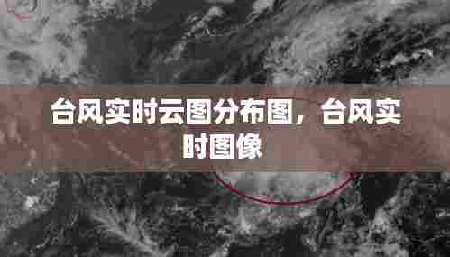台风实时云图分布图,台风实时图像