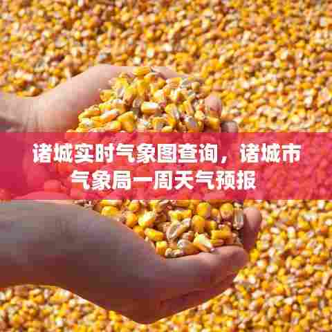 诸城实时气象图查询,诸城市气象局一周天气预报