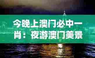 今晚上澳门必中一肖：夜游澳门美景
