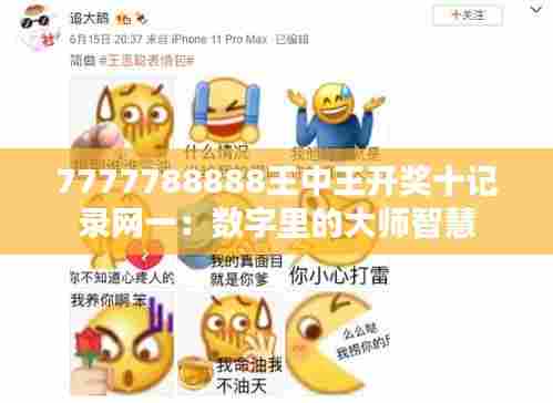 7777788888王中王开奖十记录网一:数字里的大师智慧