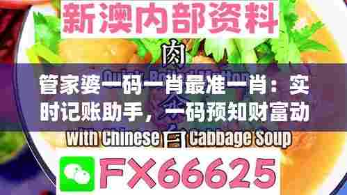 管家婆一码一肖最准一肖：实时记账助手，一码预知财富动向