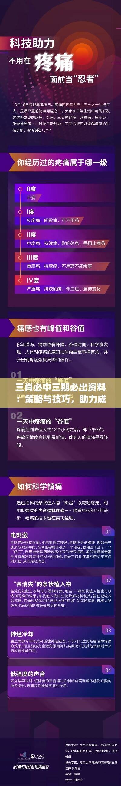 三肖必中三期必出资料:策略与技巧,助力成功攻略