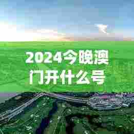 2024今晚澳门开什么号码:数字背后的社会心理学