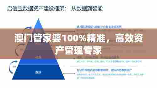 澳门管家婆100%精准，高效资产管理专家