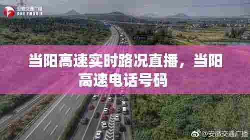 当阳高速实时路况直播，当阳高速电话号码 