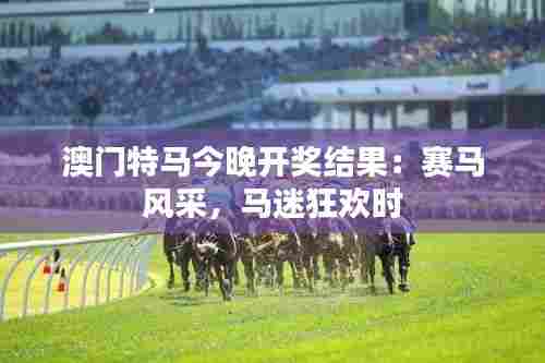 澳门特马今晚开奖结果：赛马风采，马迷狂欢时