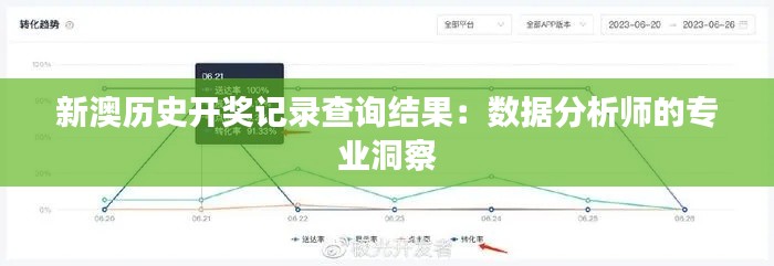 新澳历史开奖记录查询结果：数据分析师的专业洞察