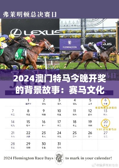 2024澳门特马今晚开奖的背景故事：赛马文化与城市魅力的交融