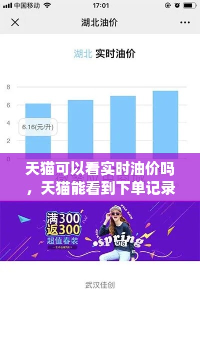 天猫可以看实时油价吗，天猫能看到下单记录吗? 