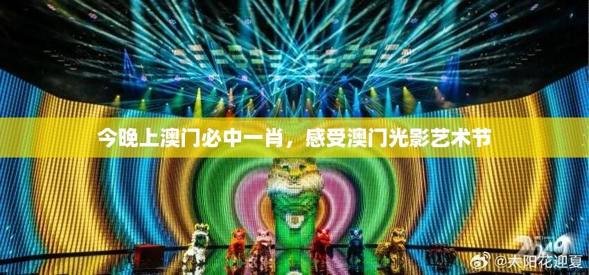 今晚上澳门必中一肖,感受澳门光影艺术节