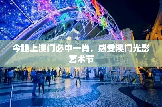 今晚上澳门必中一肖,感受澳门光影艺术节